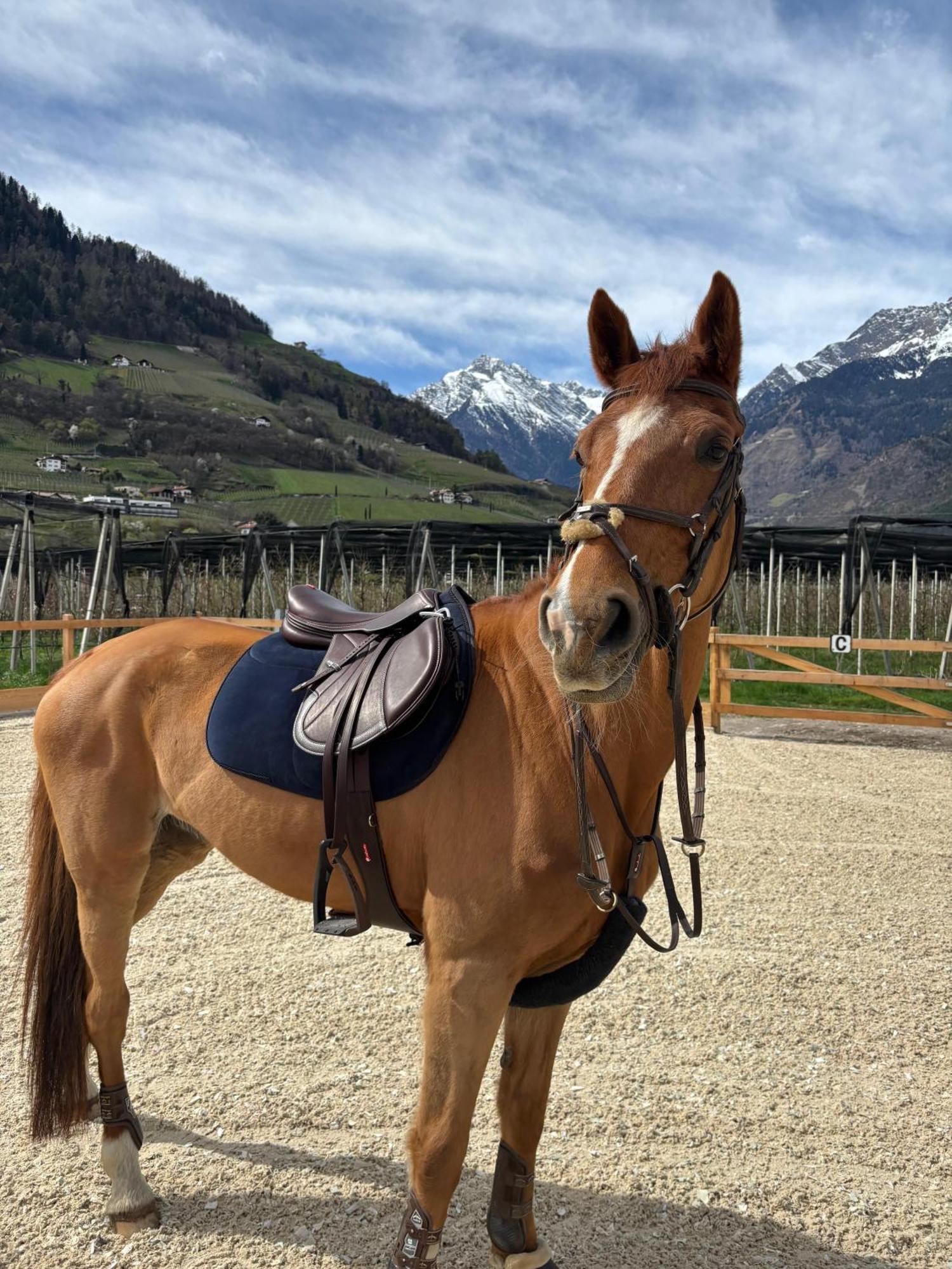 Schoene Wohnung Am Stadtrand Von Meran Valentinhof Esterno foto